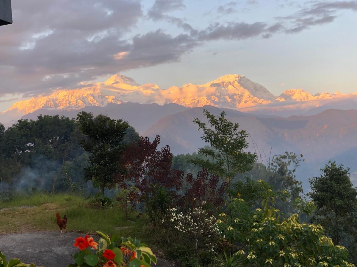 Hotel Pristine Himalaya 博卡拉 外观 照片