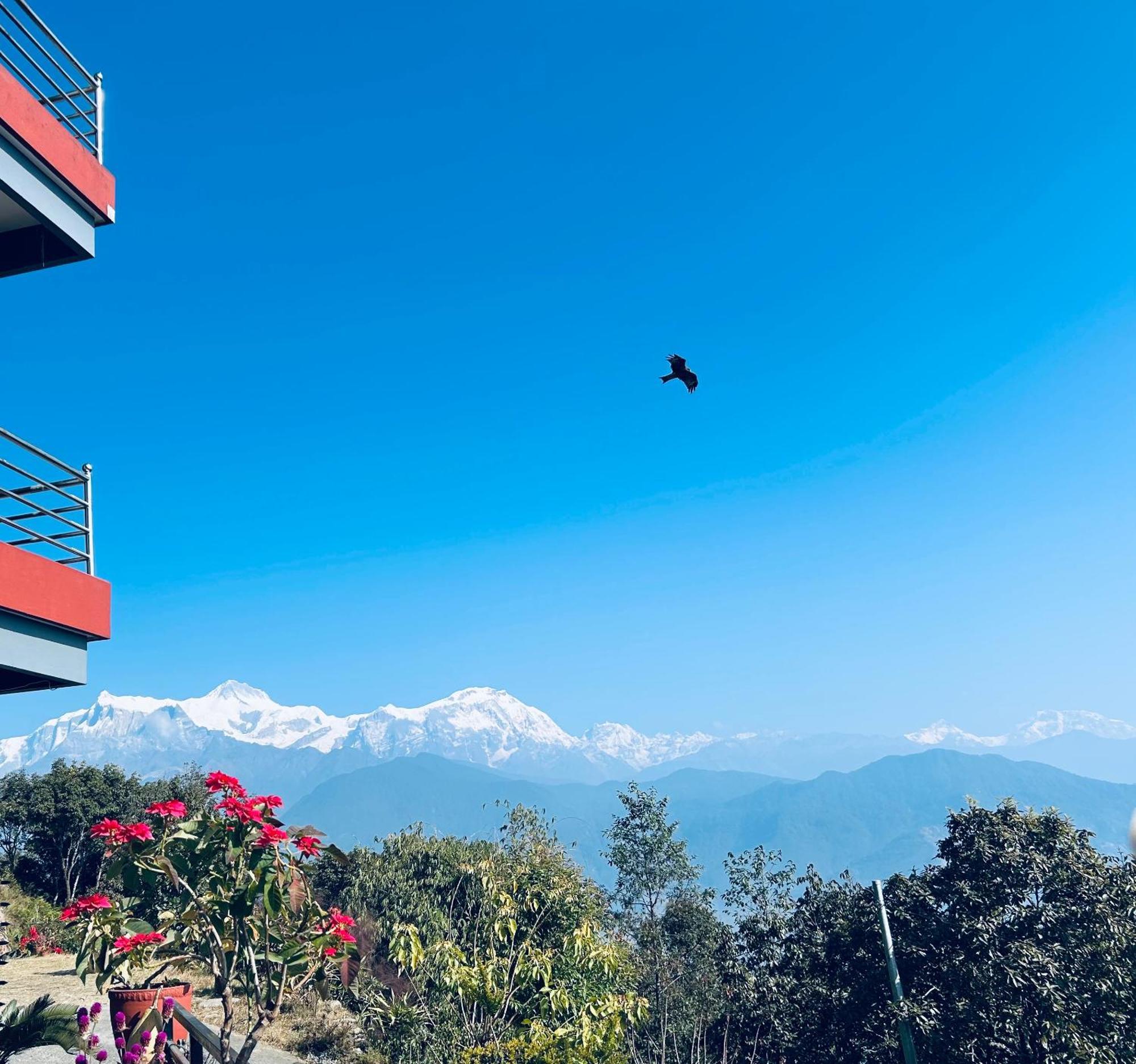 Hotel Pristine Himalaya 博卡拉 外观 照片